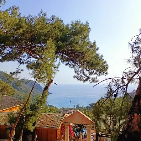 Tree ホテル