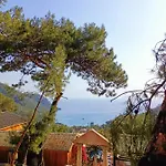 Tree Hotel