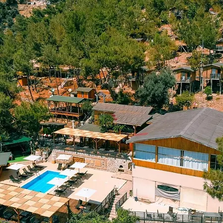 Tree Fethiye