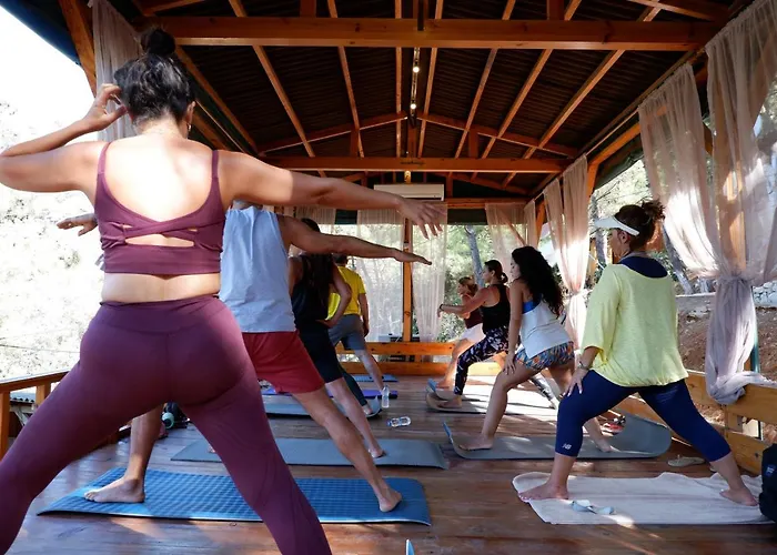 Tree フェティエ