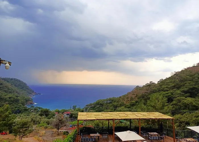 Tree フェティエ