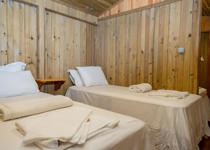 Tree * フェティエ