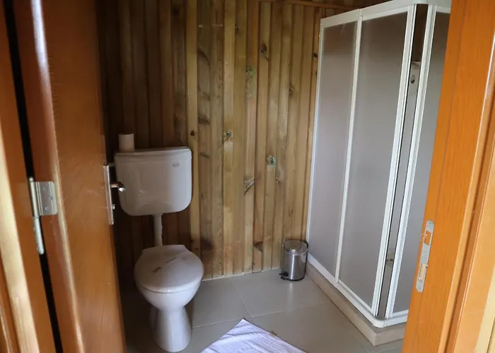 Tree * フェティエ