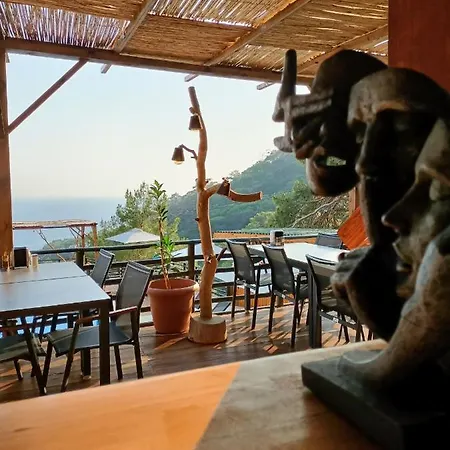 ホテル Tree フェティエ