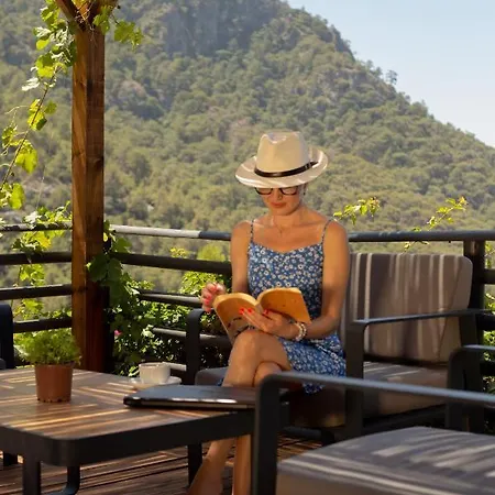 ホテル Tree フェティエ