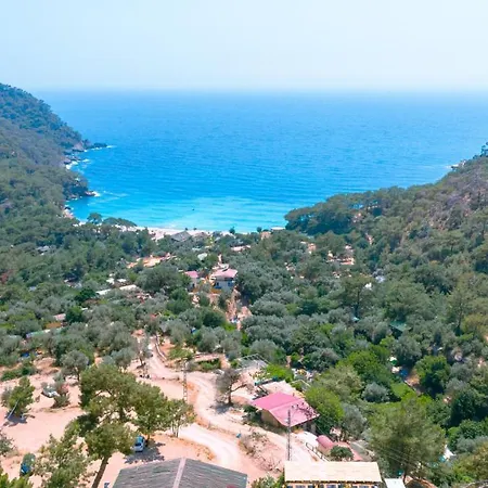 Tree フェティエ