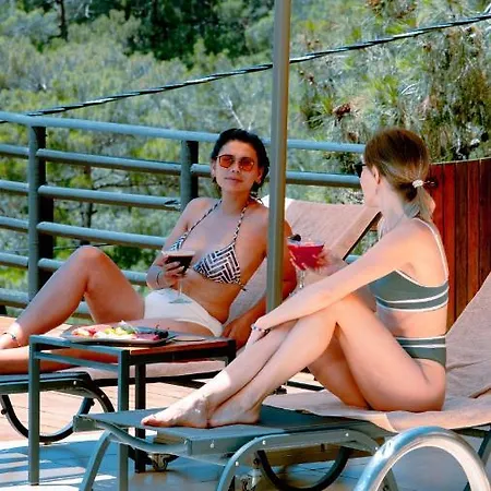 Tree フェティエ