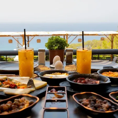 ホテル Tree フェティエ