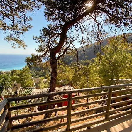 Tree ホテル フェティエ