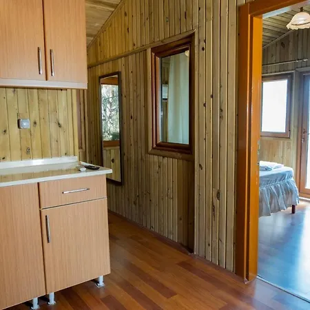 ホテル Tree フェティエ