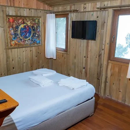 Tree ホテル フェティエ