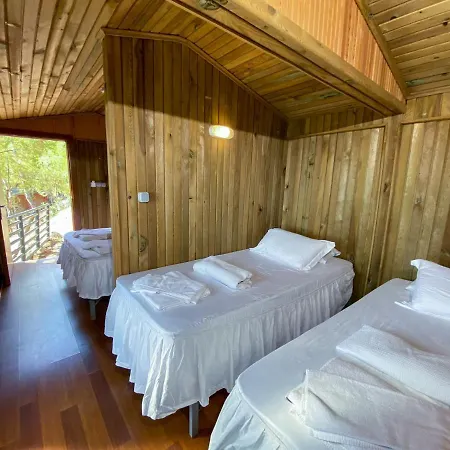 Tree Hotel Fethiye