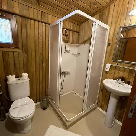 Tree * フェティエ