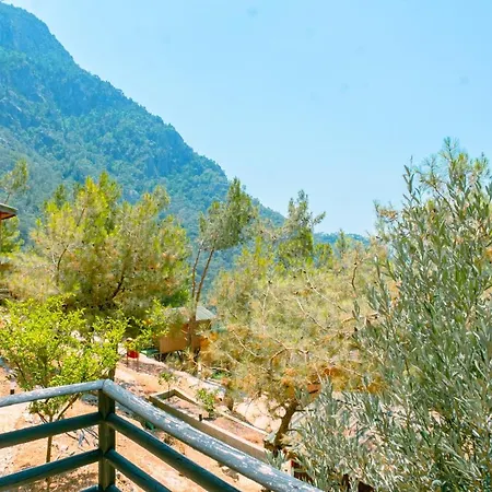 Tree ホテル フェティエ