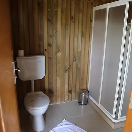 Tree * フェティエ