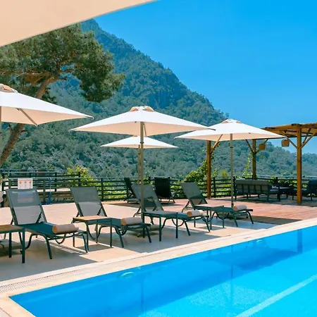 Tree ホテル フェティエ