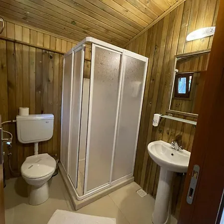 Tree フェティエ