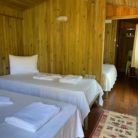 Tree ホテル フェティエ