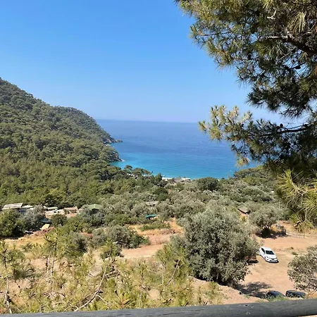 ホテル Tree フェティエ