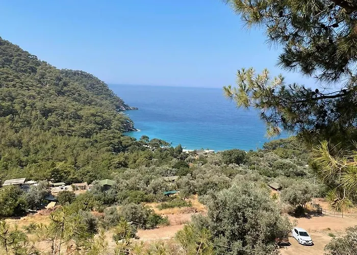 Szálloda Tree Fethiye