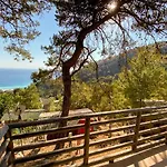 Tree Hotel Fethiye